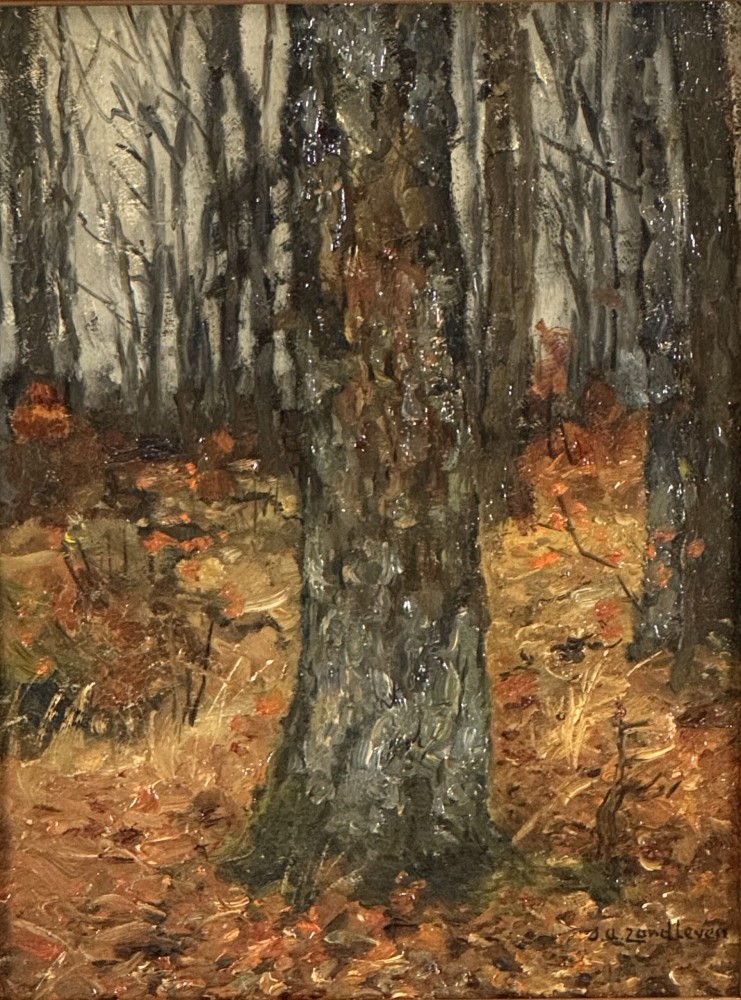311. J. A. Zandleven 