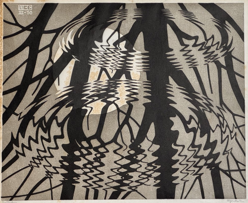 14. M.C. Escher 