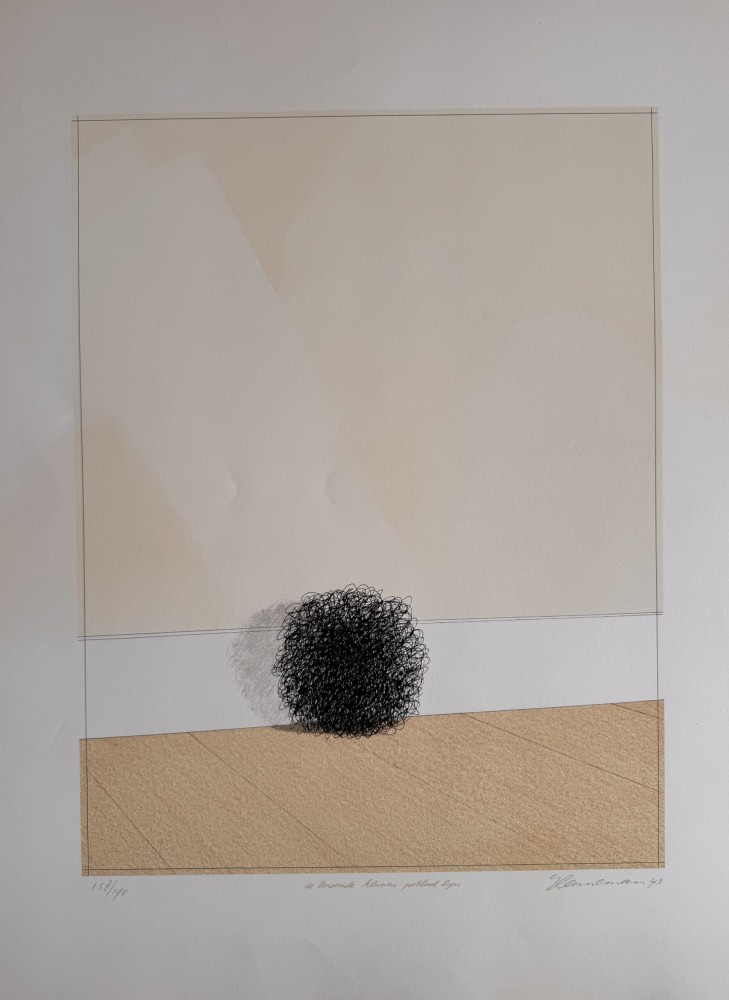 170. Jeroen Henneman 