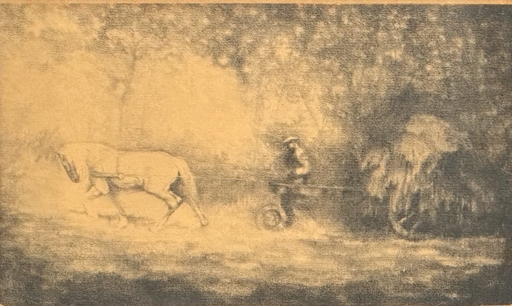 334. Klaas van Dijk 