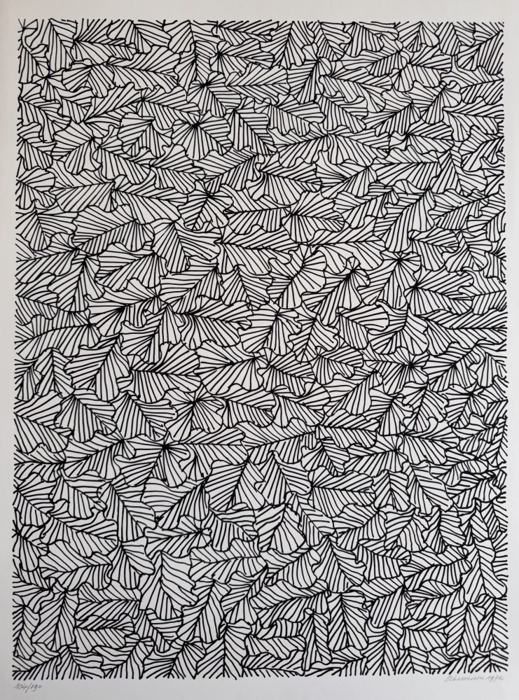 120. Jan Schoonhoven 